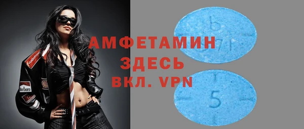 мдпв Богданович