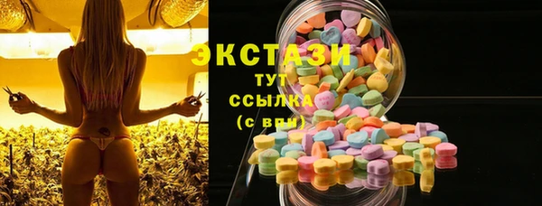 таблы Богородицк